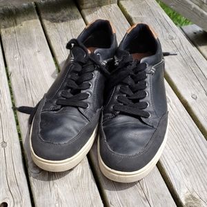 Steve Madden Sneakers